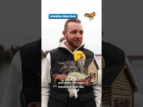 Robin Kovacs har flyttat till en bondgård