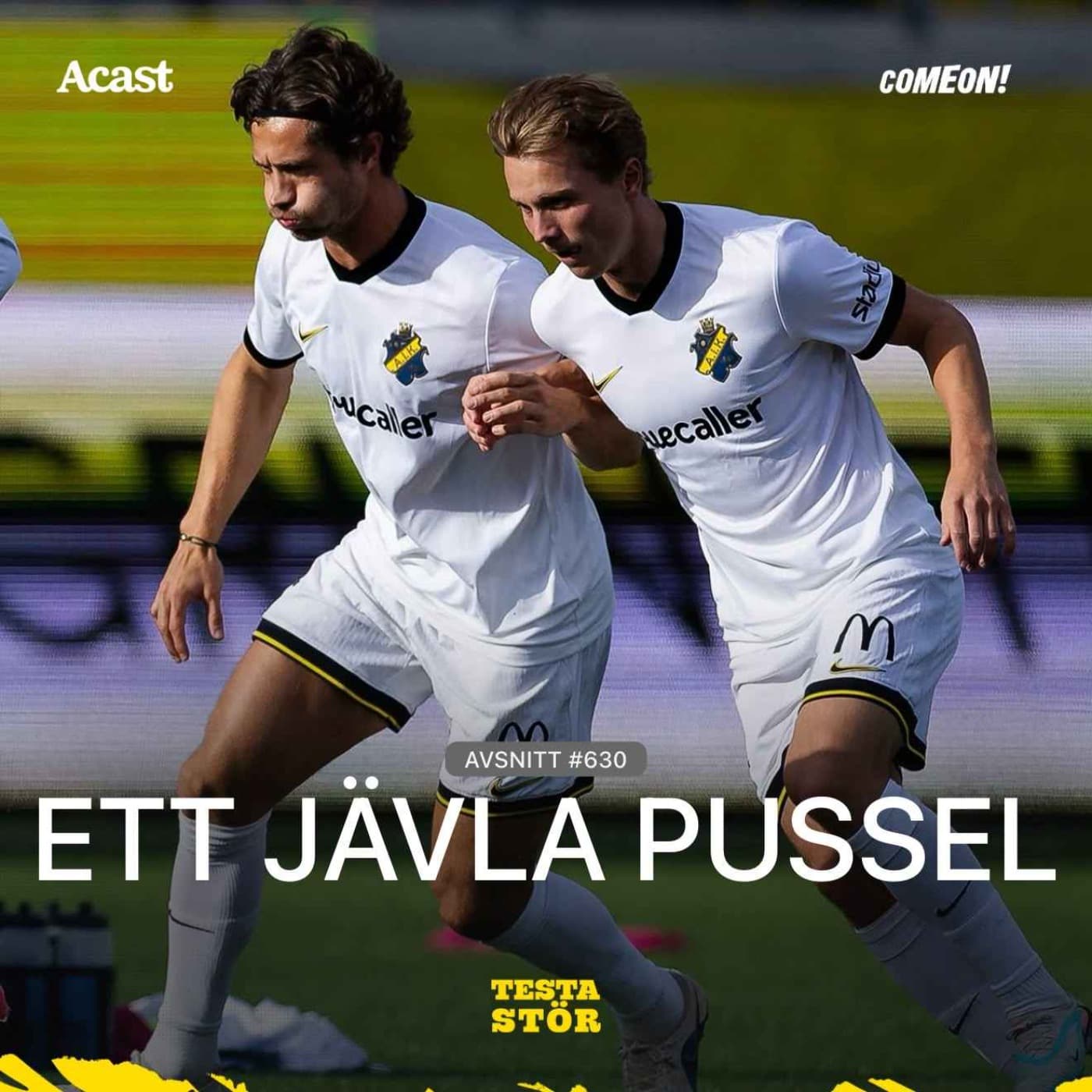 630. Ett jävla pussel